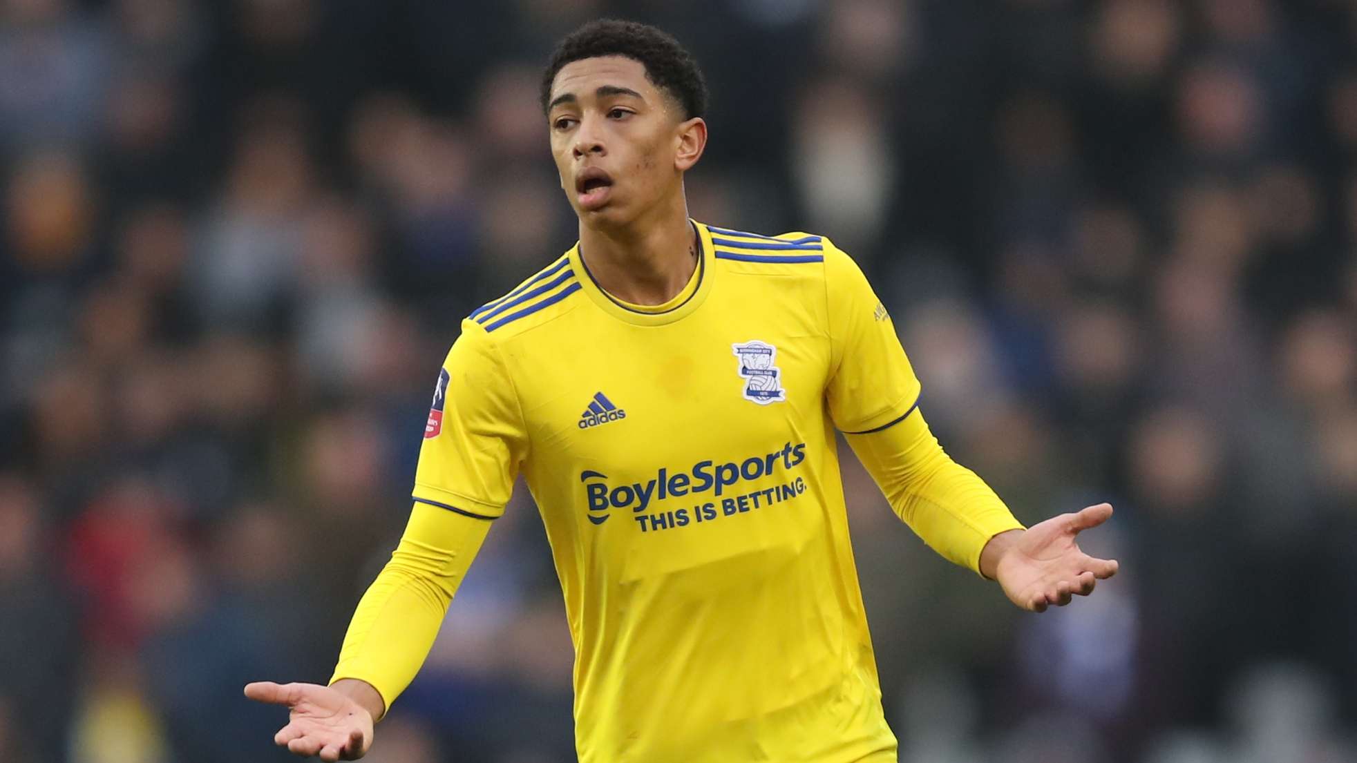 的爭論其實 的爭論其實