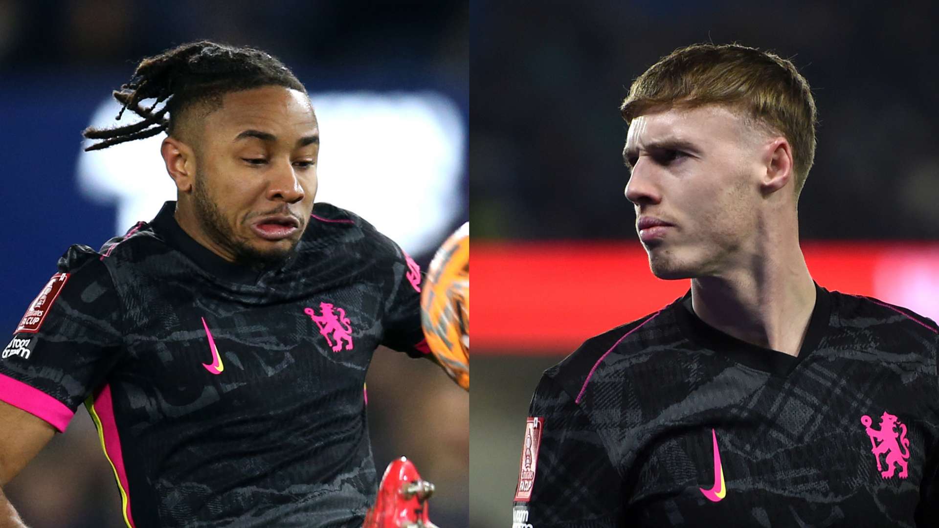 被誉为个人 被誉为个人