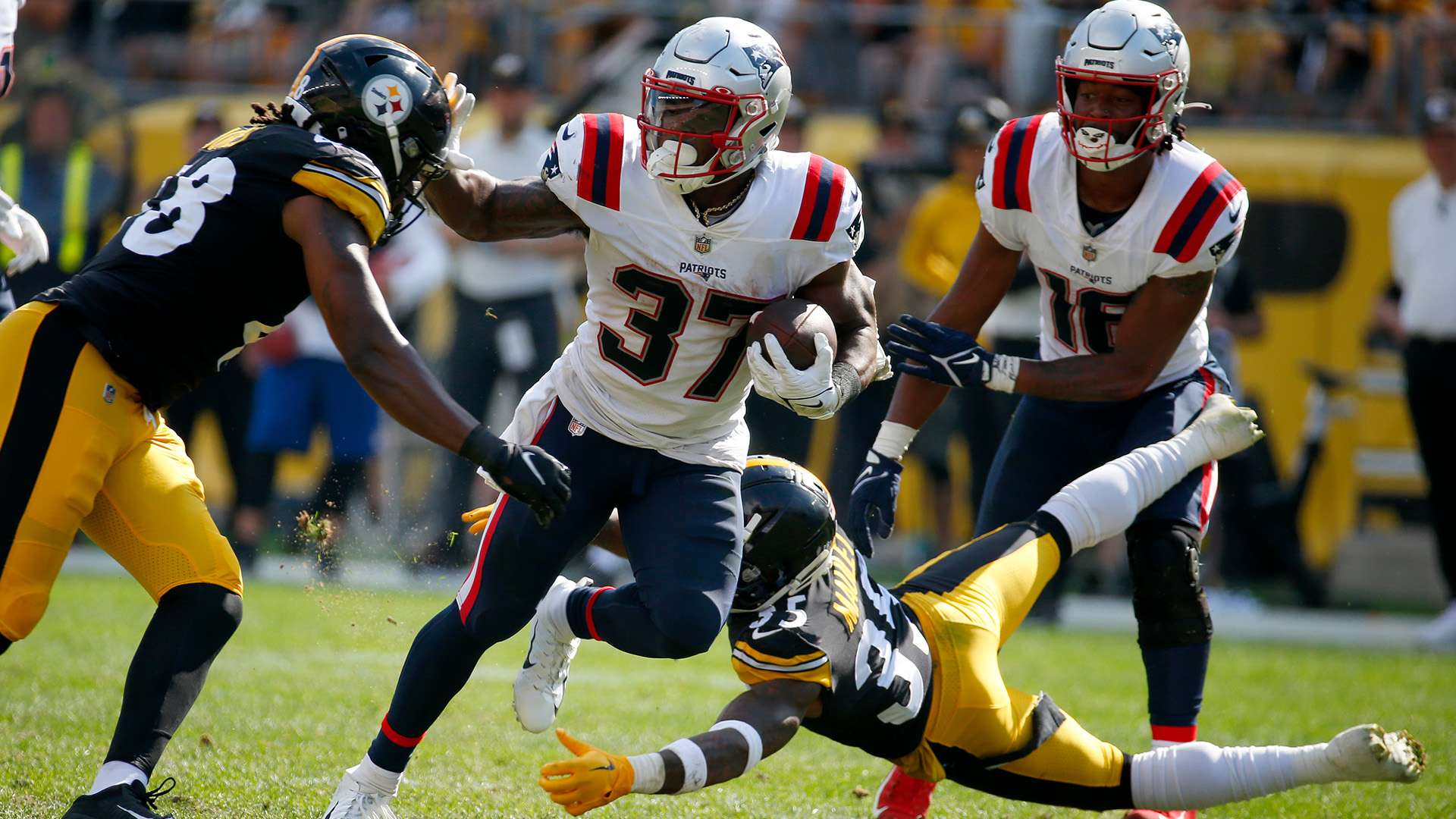 中国代表团 中国代表团