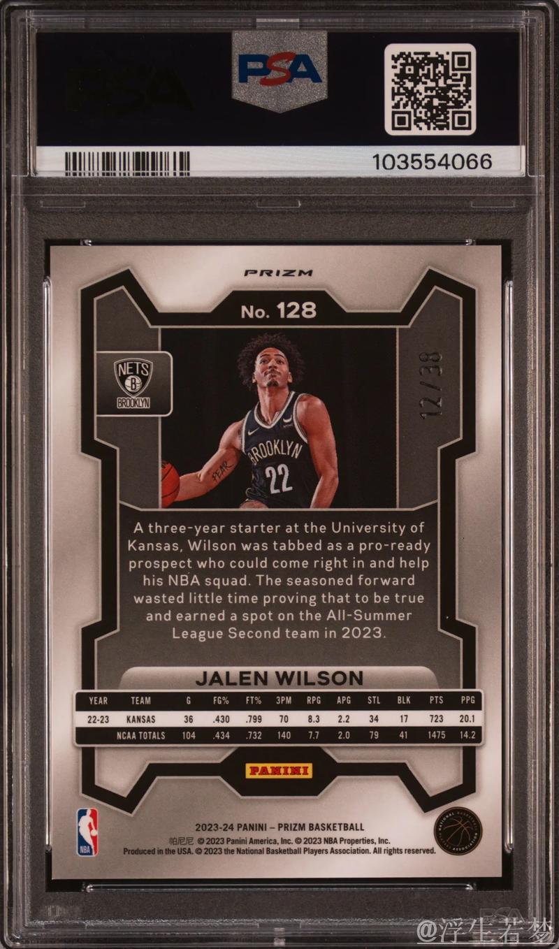 威尔逊砍下20分7篮板 篮网力克奇才